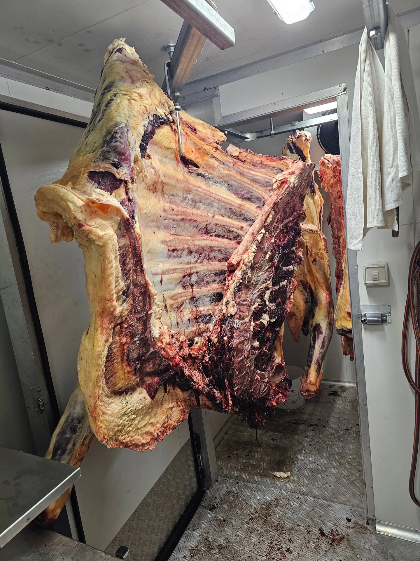 Combo Pack 5 – 1/2 Beef + Whole Lamb + 1/2 Pork - $1,350