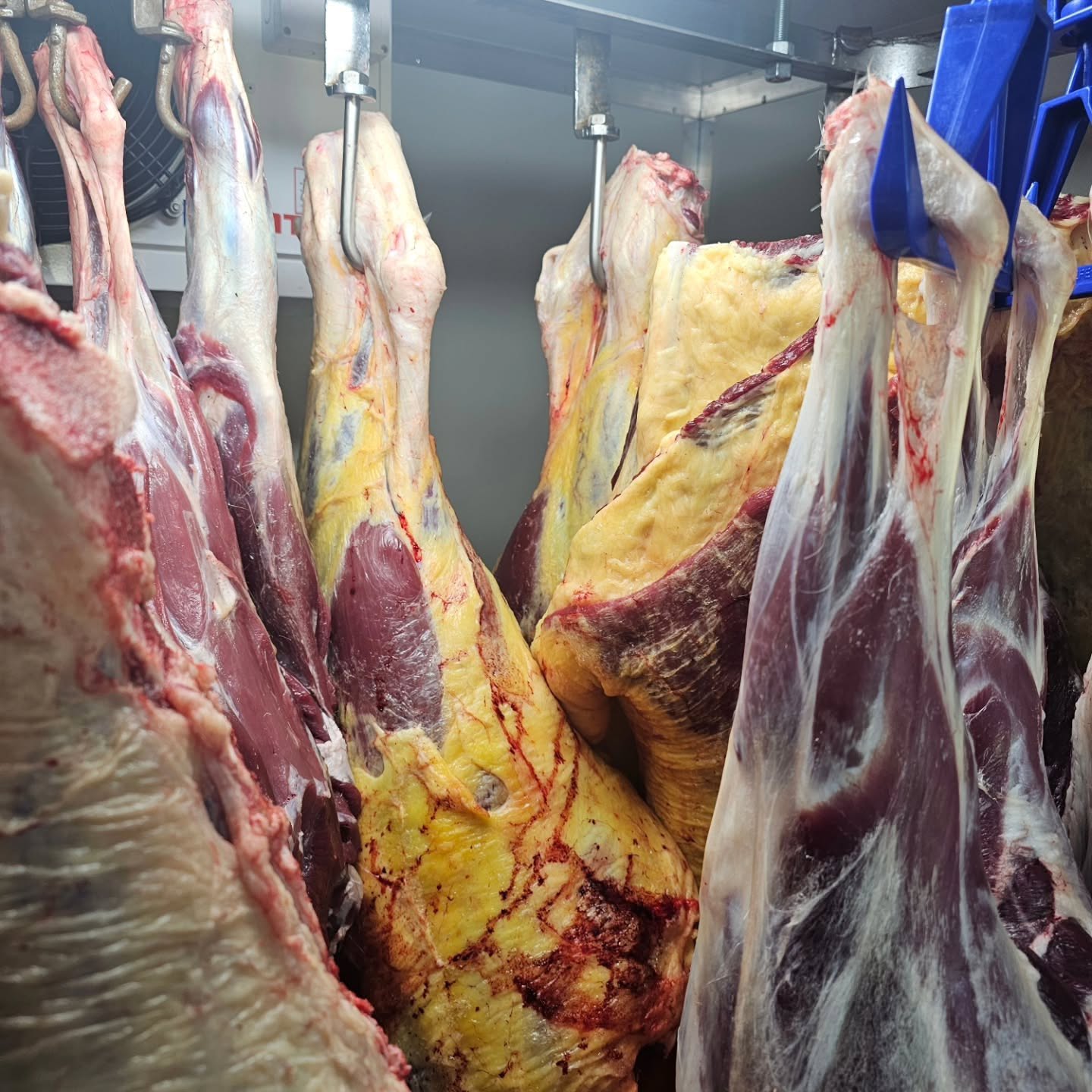Combo Pack 2 – 1/8 Beef + 1/2 Lamb + 1/2 Pork Only $800