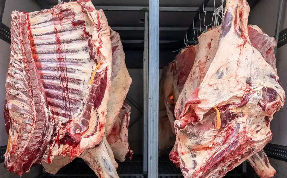 Premium Beef Grass Fed and Finished 1/8, 1/4 , 1/2 & Whole Beef Shares