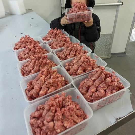 Raw grass-fed pet food -10kg
